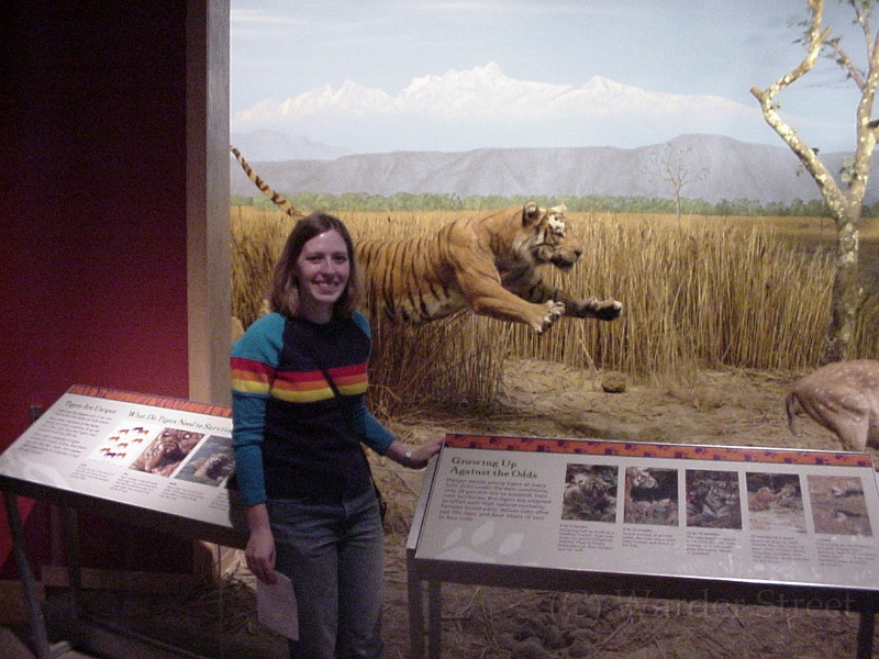 Erica With A Tiger.jpg